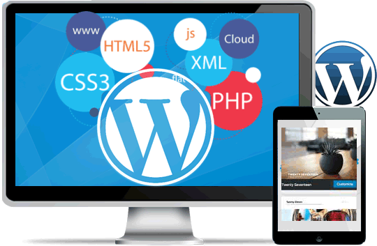 Customised web applications